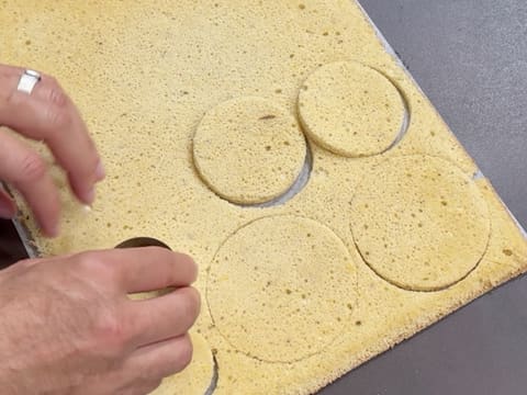Christmas Tree Entremets with Redcurrant, Blackcurrant & Vanilla - 132