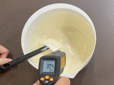 Christmas Tree Entremets with Redcurrant, Blackcurrant & Vanilla - 14