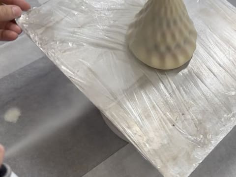 Christmas Tree Entremets with Redcurrant, Blackcurrant & Vanilla - 156