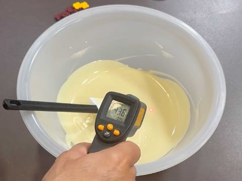 Christmas Tree Entremets with Redcurrant, Blackcurrant & Vanilla - 161