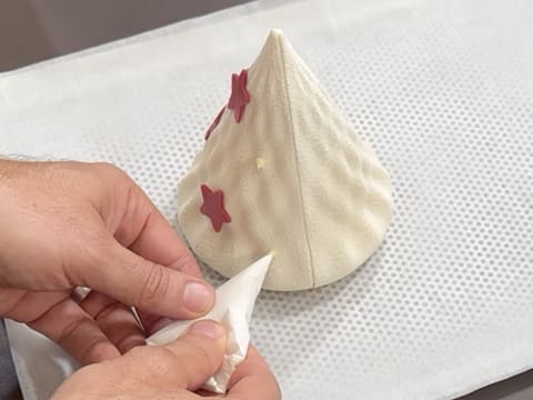 Christmas Tree Entremets with Redcurrant, Blackcurrant & Vanilla - 190