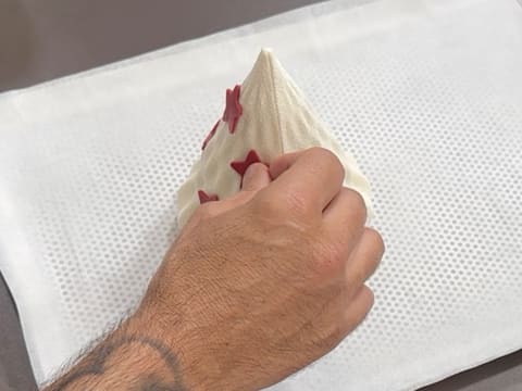 Christmas Tree Entremets with Redcurrant, Blackcurrant & Vanilla - 191