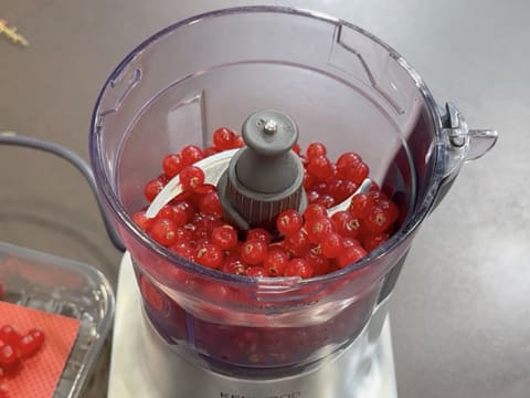 Christmas Tree Entremets with Redcurrant, Blackcurrant & Vanilla - 50