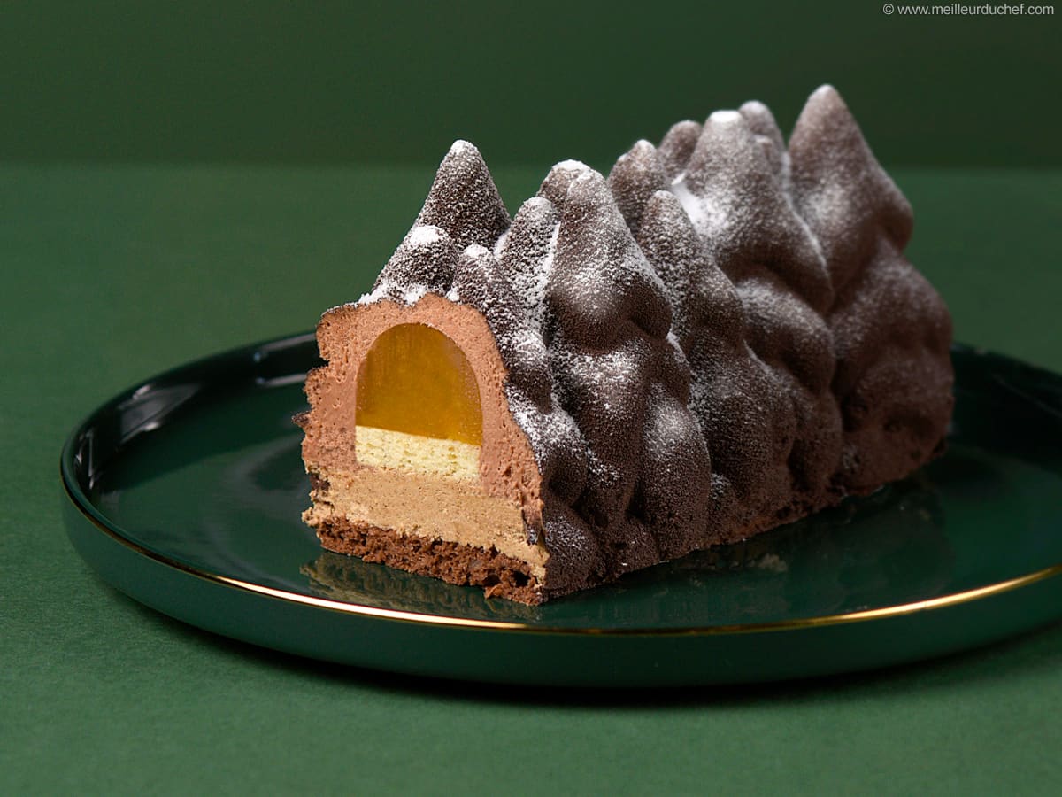 Christmas Tree Yule Log Our recipe with photos Meilleur du Chef