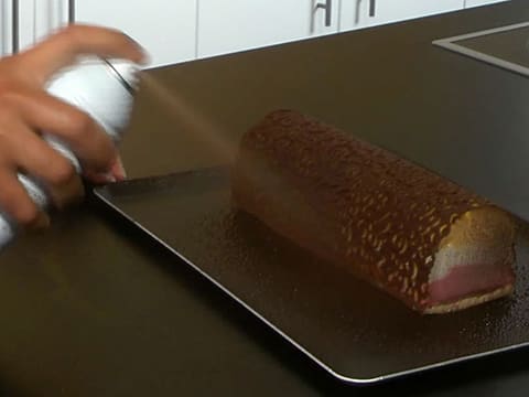 Ice Cream Yule Log, Baroque Finish - Illustrated recipe - Meilleur du Chef