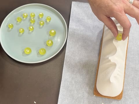 Kombucha Christmas Yule Log, Green Apple & Smoked Vanilla - 147