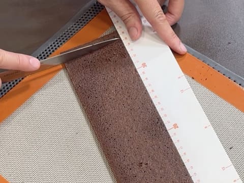 Pineapple, Coconut & Black Sesame Praline Christmas Yule Log - 104