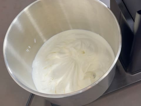 Pineapple, Coconut & Black Sesame Praline Christmas Yule Log - 111