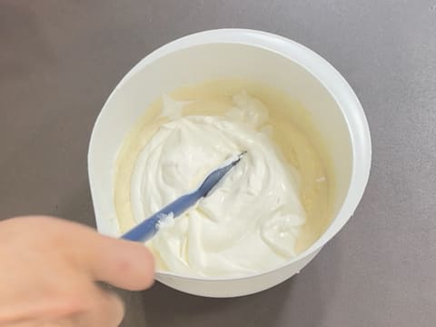 Pineapple, Coconut & Black Sesame Praline Christmas Yule Log - 117