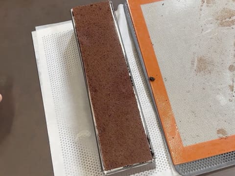 Pineapple, Coconut & Black Sesame Praline Christmas Yule Log - 136