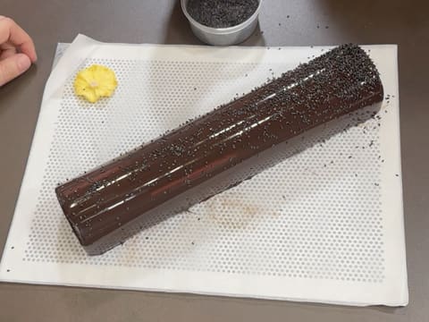 Pineapple, Coconut & Black Sesame Praline Christmas Yule Log - 176