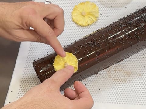 Pineapple, Coconut & Black Sesame Praline Christmas Yule Log - 177