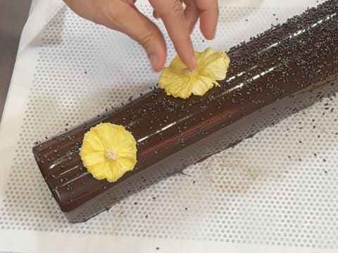 Pineapple, Coconut & Black Sesame Praline Christmas Yule Log - 178