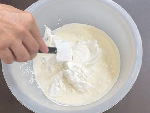 Pineapple, Coconut & Black Sesame Praline Christmas Yule Log - 90