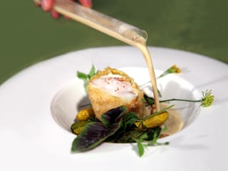 Fish - Meilleur du Chef