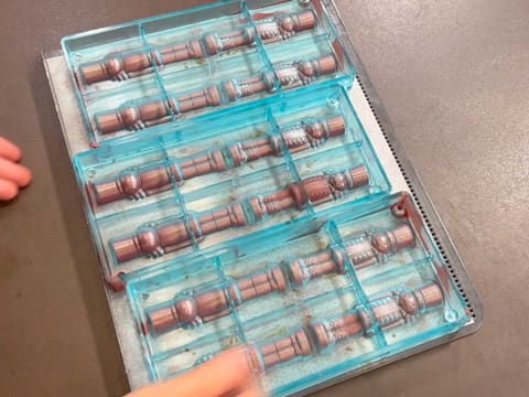 Crunchy Chocolate Nutcrackers - 95