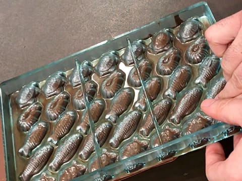 Chocolate Fish Mold -  Canada