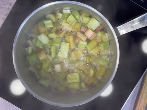 Easy Rhubarb Tart - 47