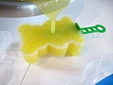 Fresh Fruit Ice Pops - 19