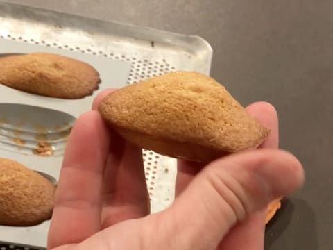 Gluten-Free Hazelnut Madeleines - 15