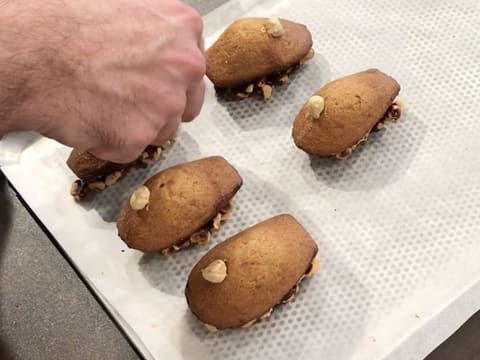 Gluten-Free Hazelnut Madeleines - 33