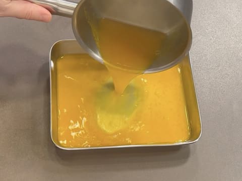 Lemon & Mandarin Entremets - 23