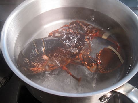 Lobster Terrine - 5