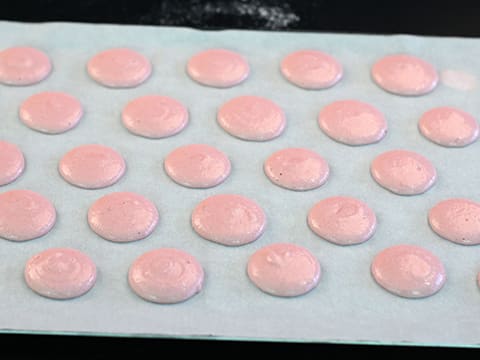 Grapefruit & White Chocolate Macarons - 13