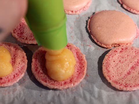 Grapefruit & White Chocolate Macarons - 25