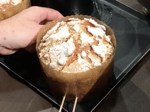 Candied Fruit Panettone - 80