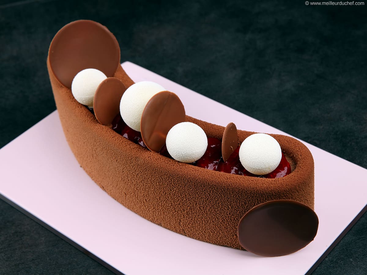 https://files.meilleurduchef.com/mdc/photo/recipe/rasberry-chocolate-entremets-cake/rasberry-chocolate-entremets-cake-1200.jpg