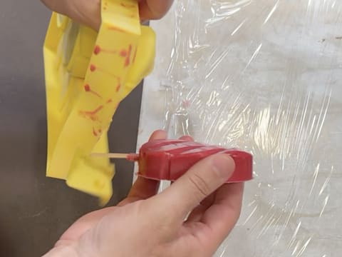 Raspberry Popsicles - 14