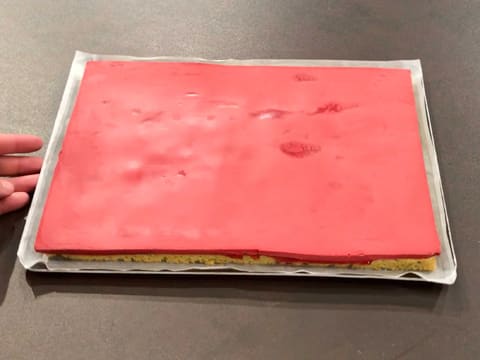 Raspberry Cake Roll - 69