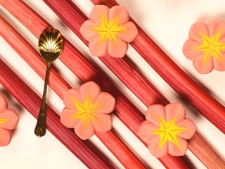 Rhubarb, Lychee & Matcha Tea Mini Entremets
