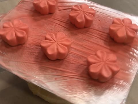 Rhubarb, Lychee & Matcha Tea Mini Entremets - 99