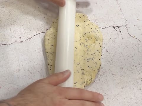 Rustic Tomato & Mustard Tart - 10