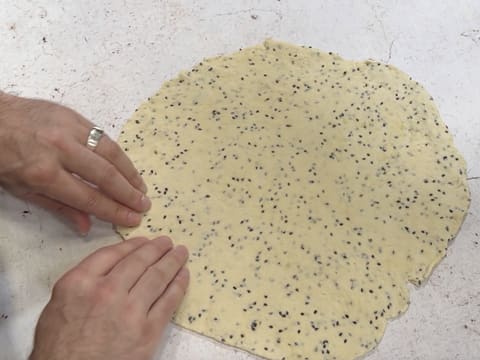 Rustic Tomato & Mustard Tart - 12