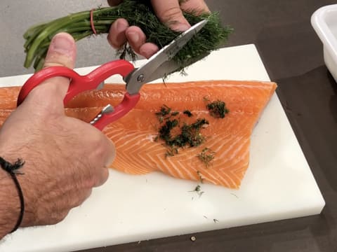 Salmon Gravlax with Dill Sauce - 14