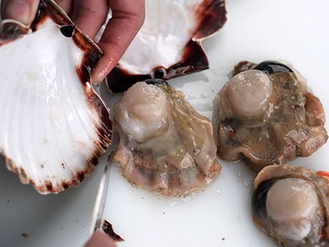 Scallops and Razor Clams in a Wasabi Crust - 23