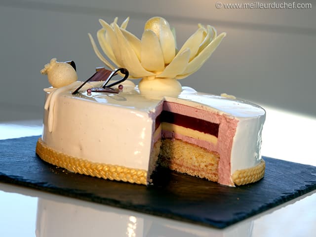 Raspberry Pistachio Entremet (Multi Layer Mousse Cake) -