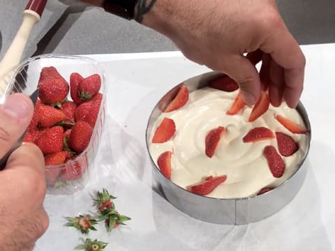 Strawberry Tiramisu - 93