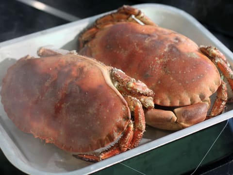 Stuffed Crabs - 11