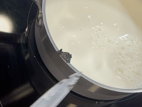 Vanilla Ice Cream - 4