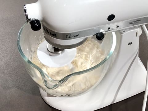 Knead the ingredients in the stand mixer