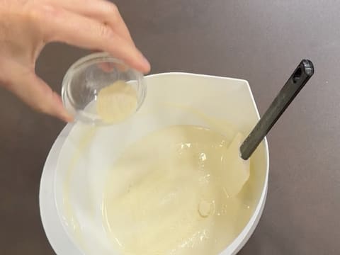 Entremets Albero di Natale con ribes rosso, ribes nero e vaniglia - 10