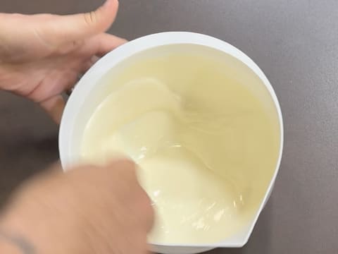 Entremets Albero di Natale con ribes rosso, ribes nero e vaniglia - 11