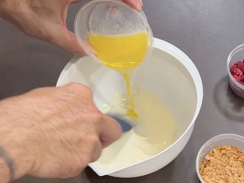 Entremets Albero di Natale con ribes rosso, ribes nero e vaniglia - 117