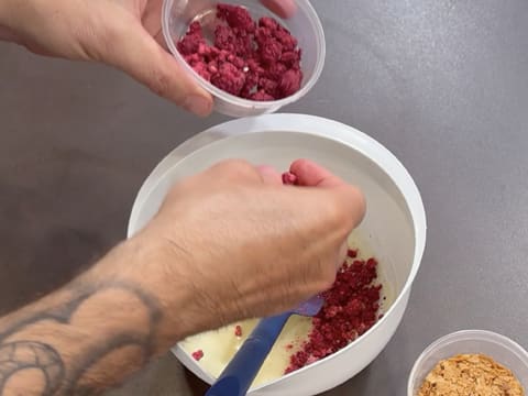 Entremets Albero di Natale con ribes rosso, ribes nero e vaniglia - 119