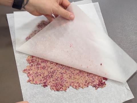 Entremets Albero di Natale con ribes rosso, ribes nero e vaniglia - 125