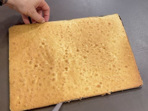 Entremets Albero di Natale con ribes rosso, ribes nero e vaniglia - 128